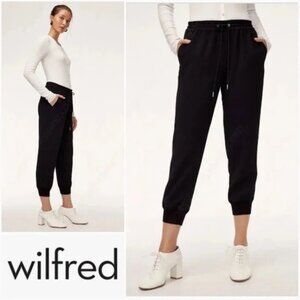 Black Aritzia Wilfred Buffon Pant Jogger Size Small